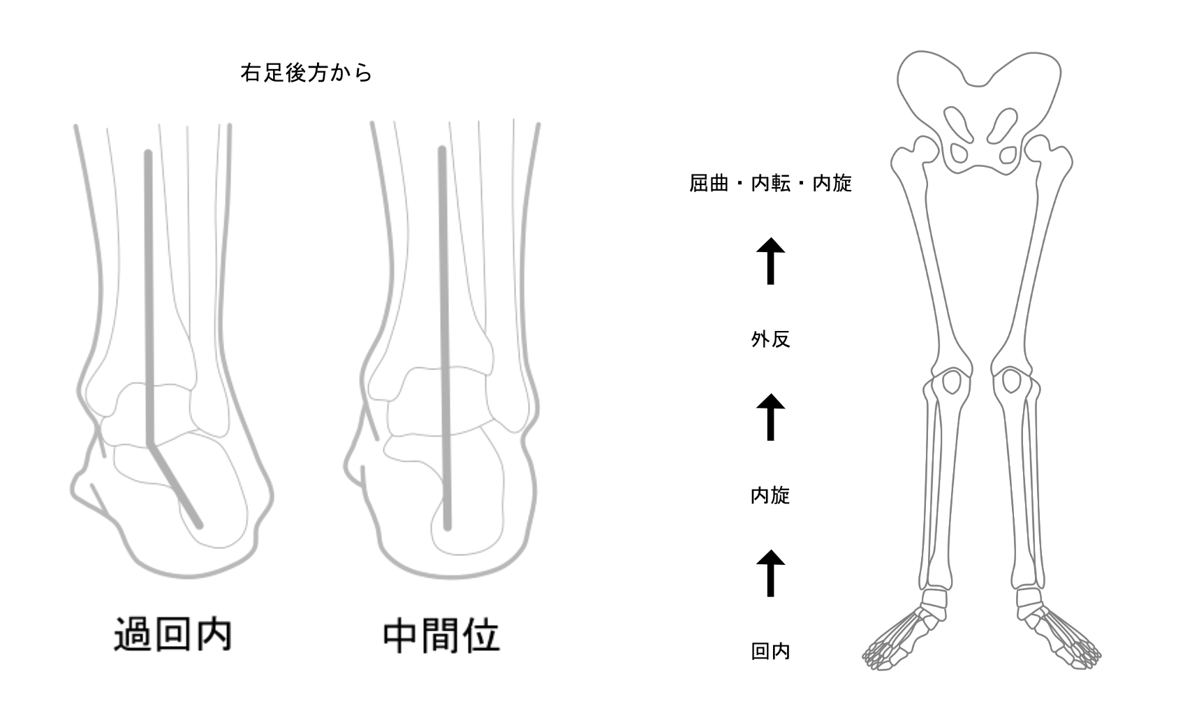 過回内・過回外の説明イラスト