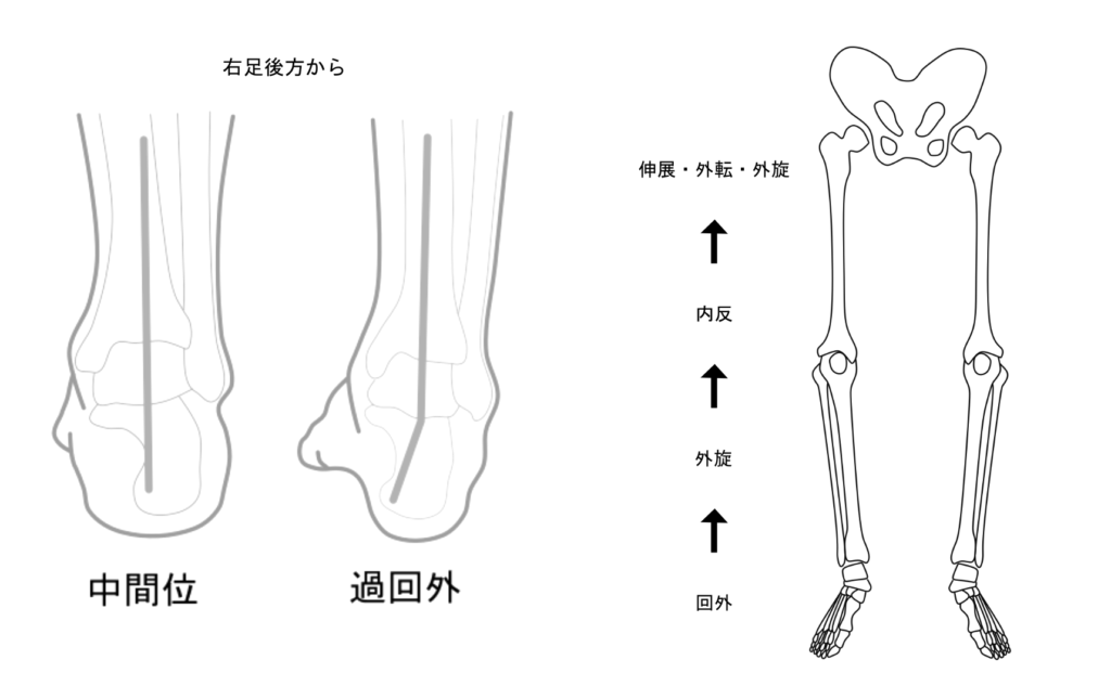 過回内・過回外の説明イラスト